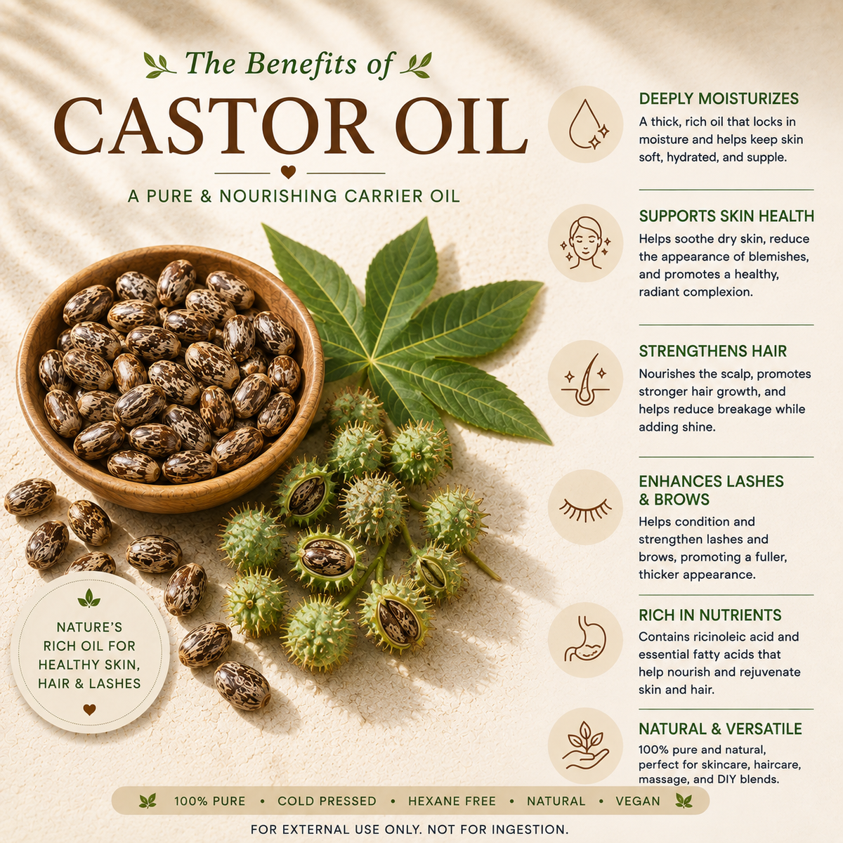 Castor Carrier Oil 8 Oz