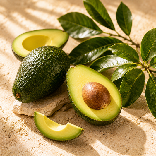 Avocado Carrier Oil 8 Oz