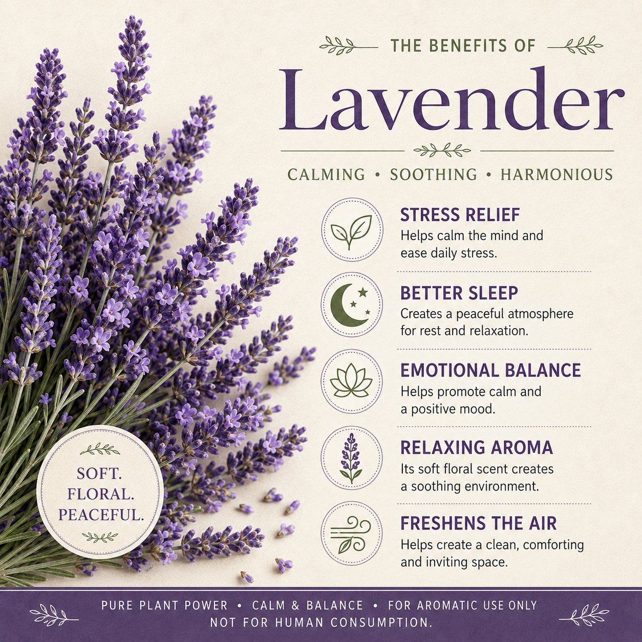 Lavender Essential Oil 4 Fl Oz
