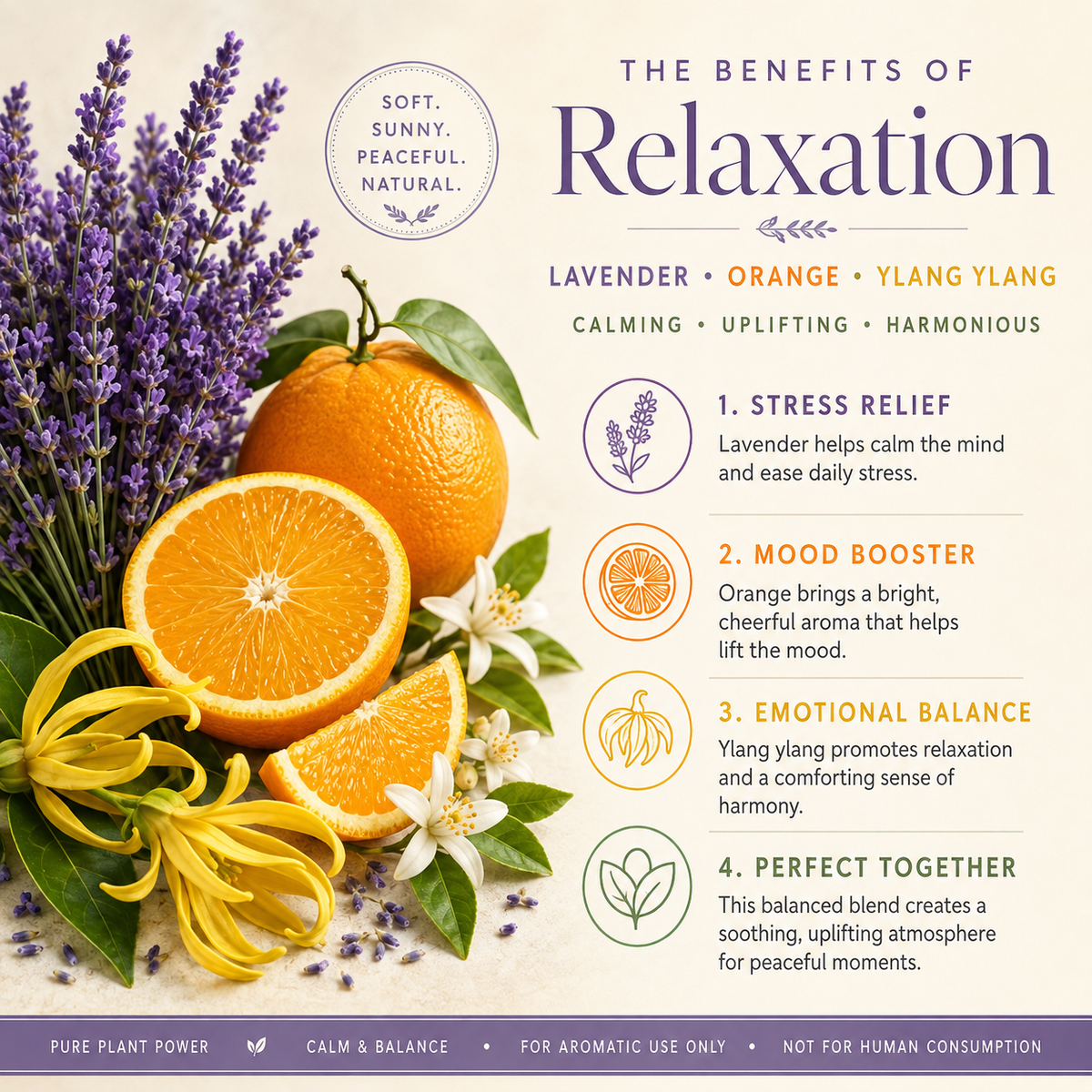 Relaxation Essential Oil 4 Fl Oz