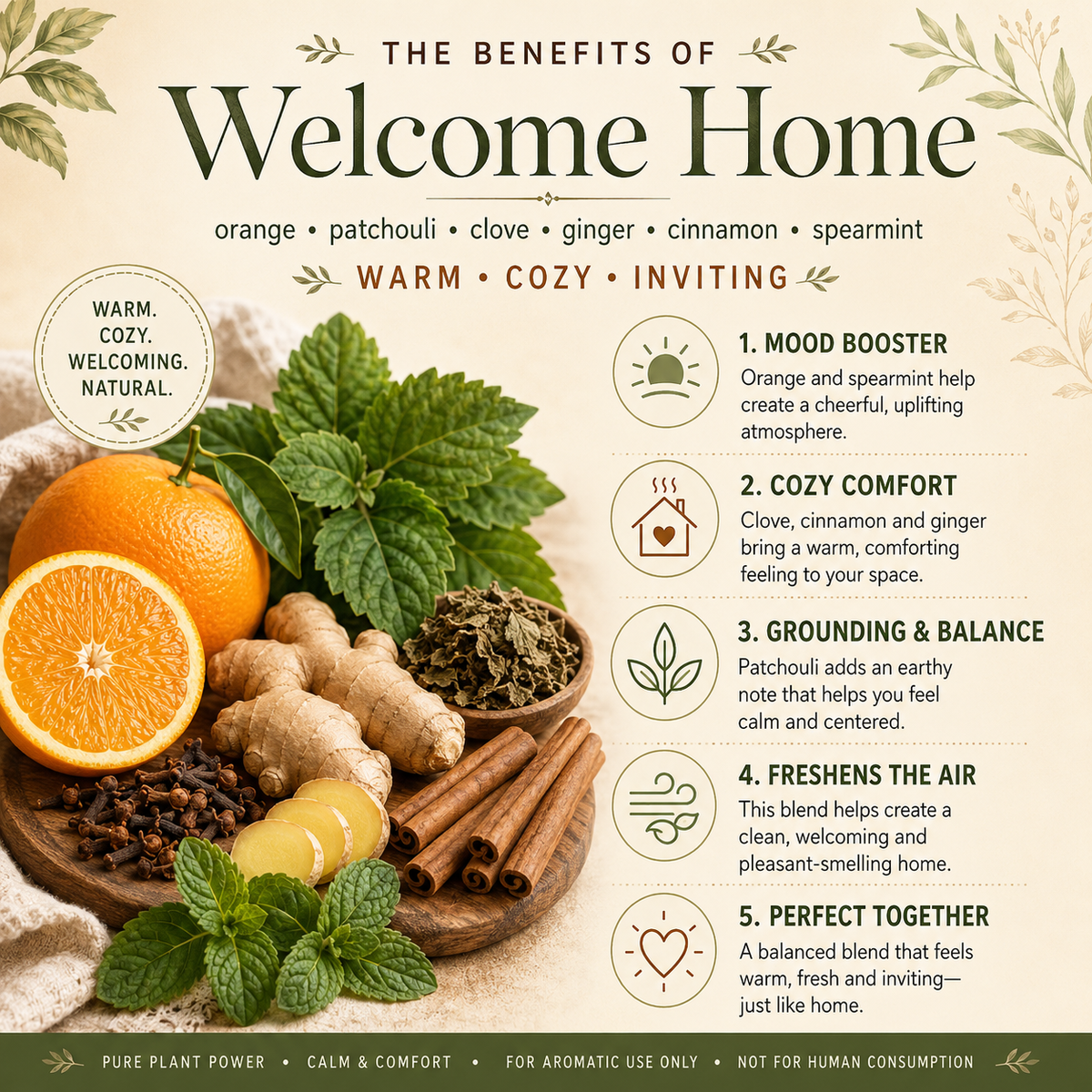 Welcome Home Essential Oil 4 Fl Oz