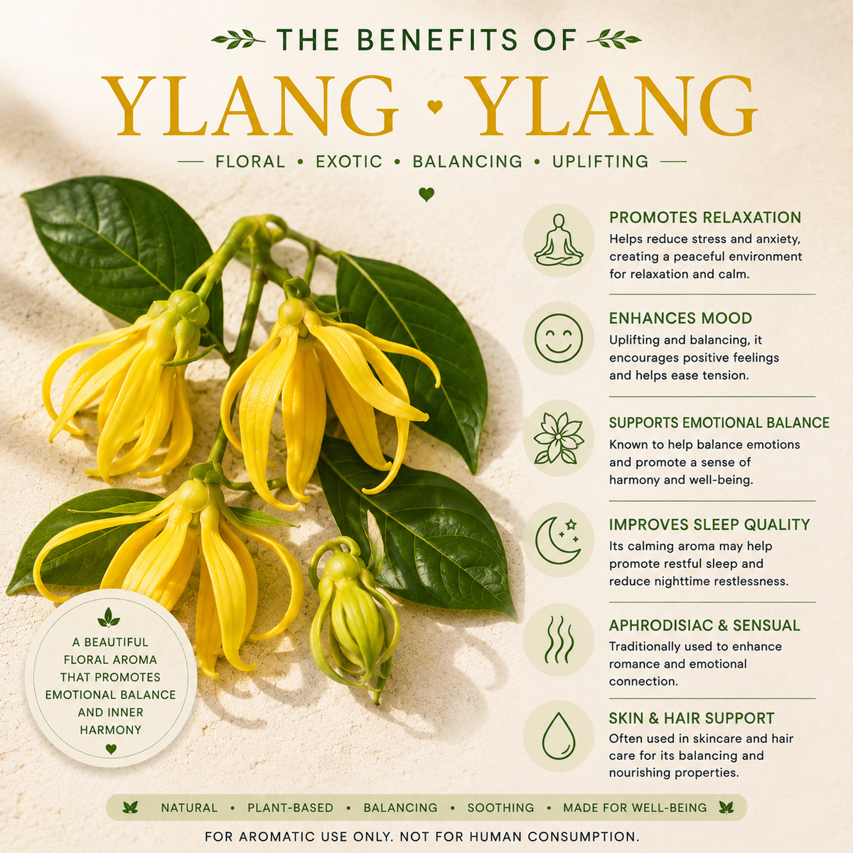 Ylang Ylang Essential Oil 4 Fl Oz