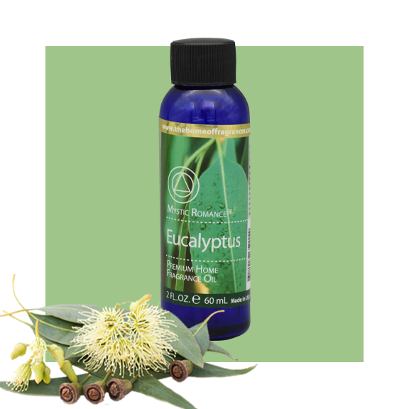 Eucalyptus Mystic Romance