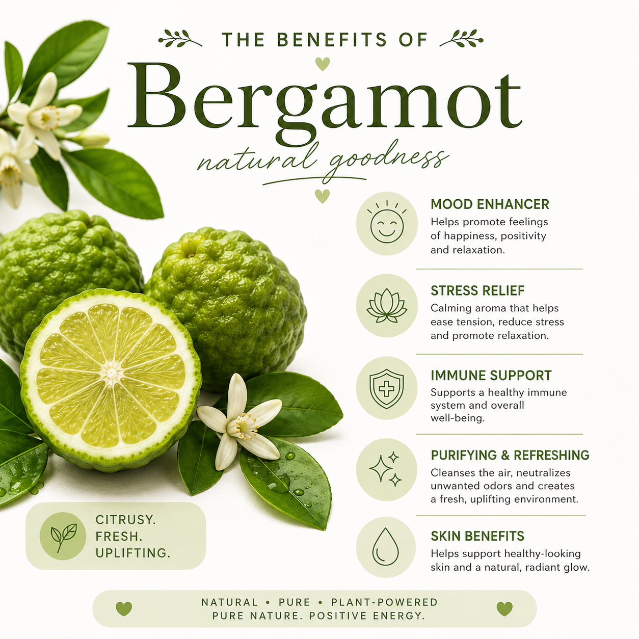 Bergamot Essential Oil 4 Fl Oz