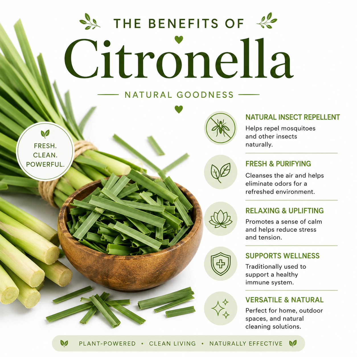 Citronella Essential Oil 4 Fl Oz