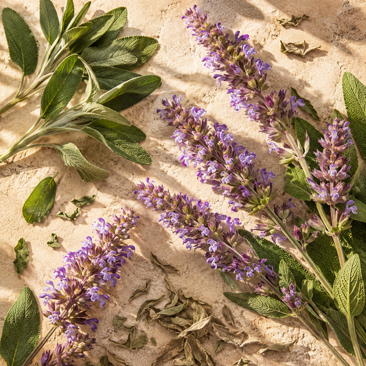Clary Sage Essential Oil 4 Fl Oz