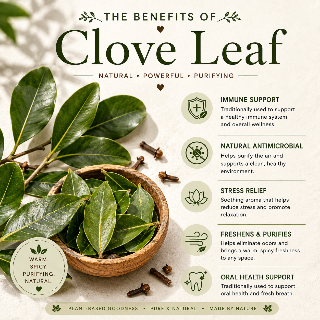 Clove Leaf Essential Oil 10ml
