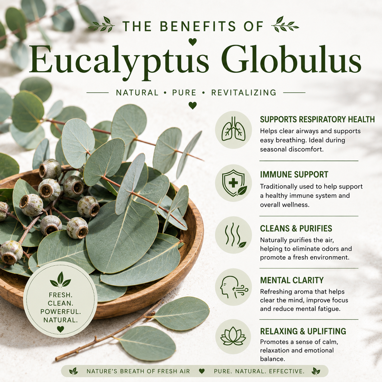 Eucalyptus Globulus Essential Oil 4 Fl Oz