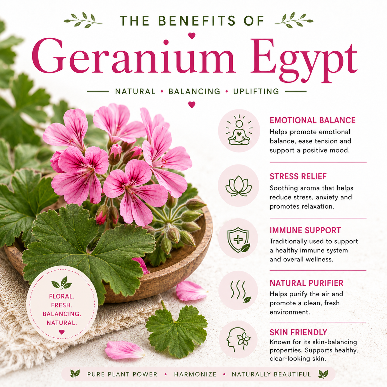 Geranium Egypt Essential Oil 4 Fl Oz