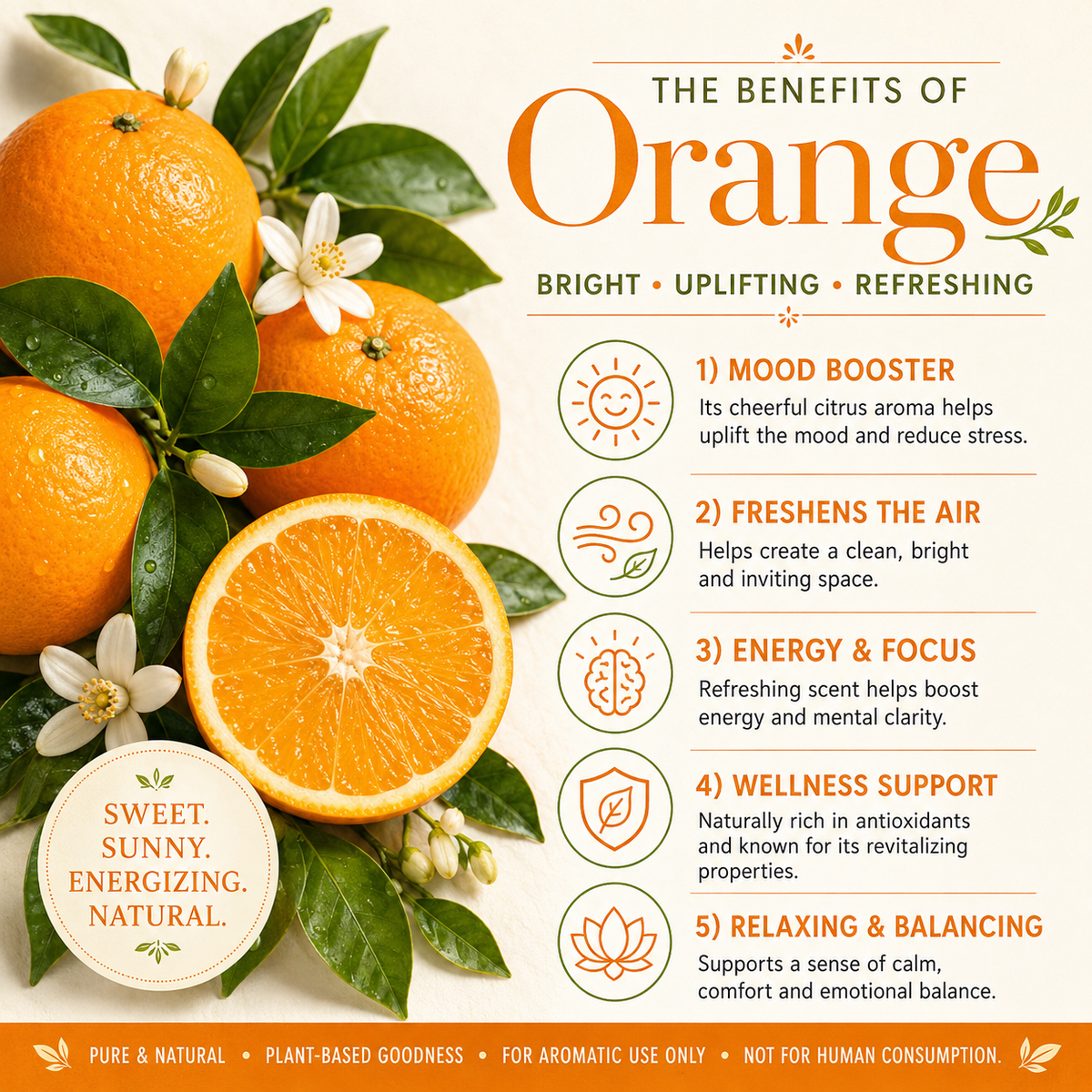 Orange Essential Oil 10ml