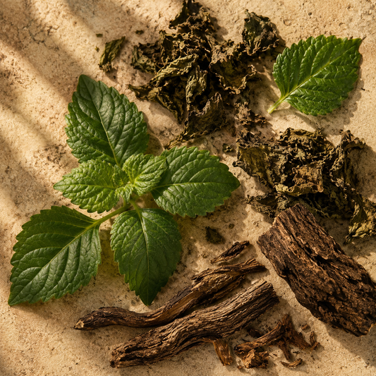 Patchouli Dark Essential Oil 4 Fl Oz