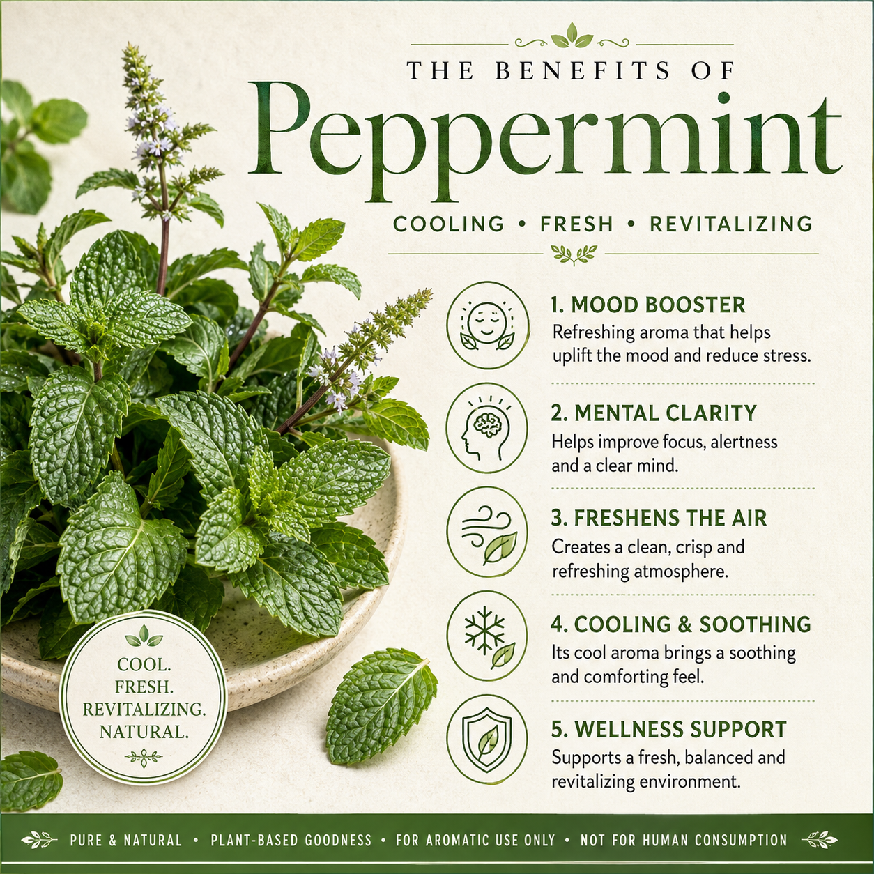 Peppermint Essential Oil 4 Fl Oz