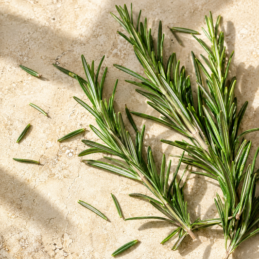 Rosemary Essential Oil 4 Fl Oz