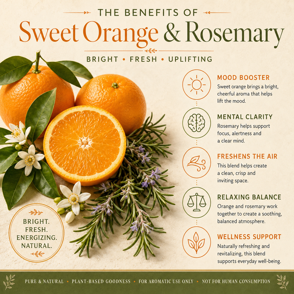 Sweet Orange & Rosemary Essential Oil 4 Fl Oz