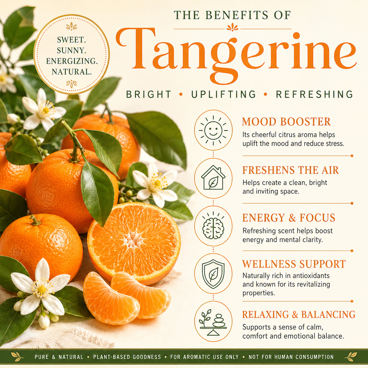 Tangerine Essential Oil 10ml