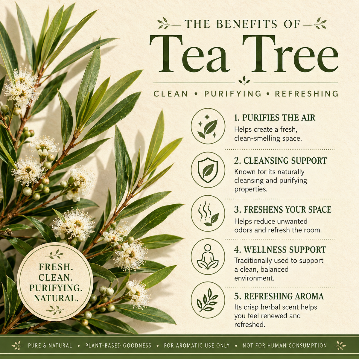 Tea Tree Essential Oil 4 Fl Oz