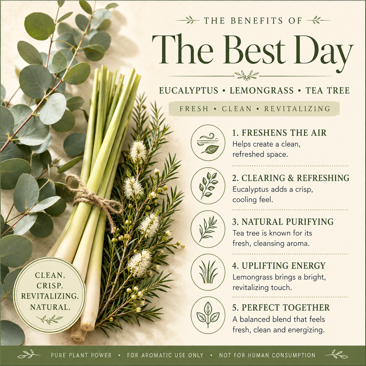 The Best Day Essential Oil 4 Fl Oz