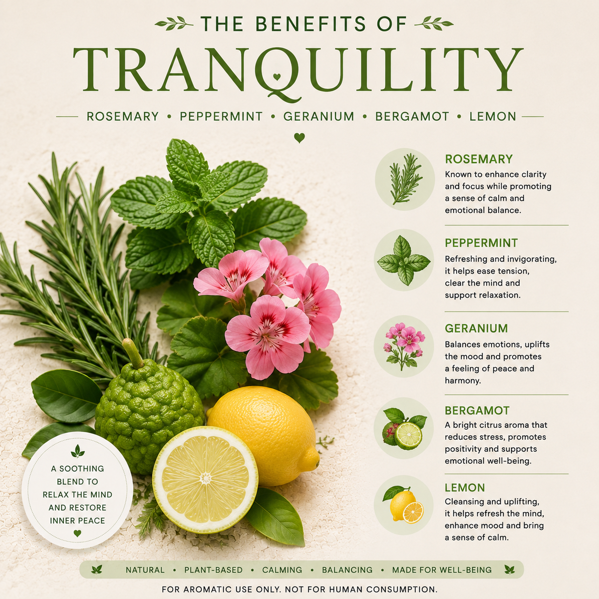 Tranquility Essential Oil 4 Fl Oz