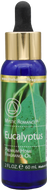 Eucalyptus