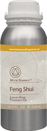 Feng Shui (Our alternative of Lust for Life)